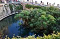 Siracusa - fonte Aretusa